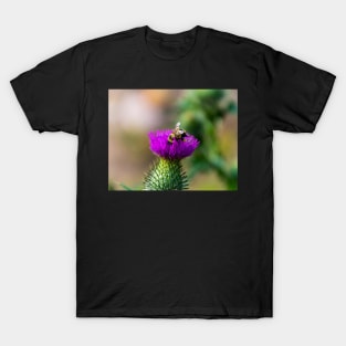 Foraging bee on a thistle bloom T-Shirt